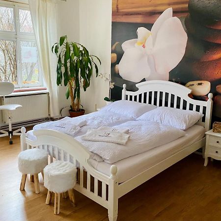 Beauty-Spa Apartment Дечин Екстериор снимка