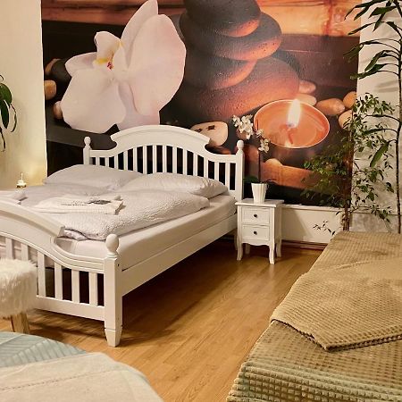 Beauty-Spa Apartment Дечин Екстериор снимка