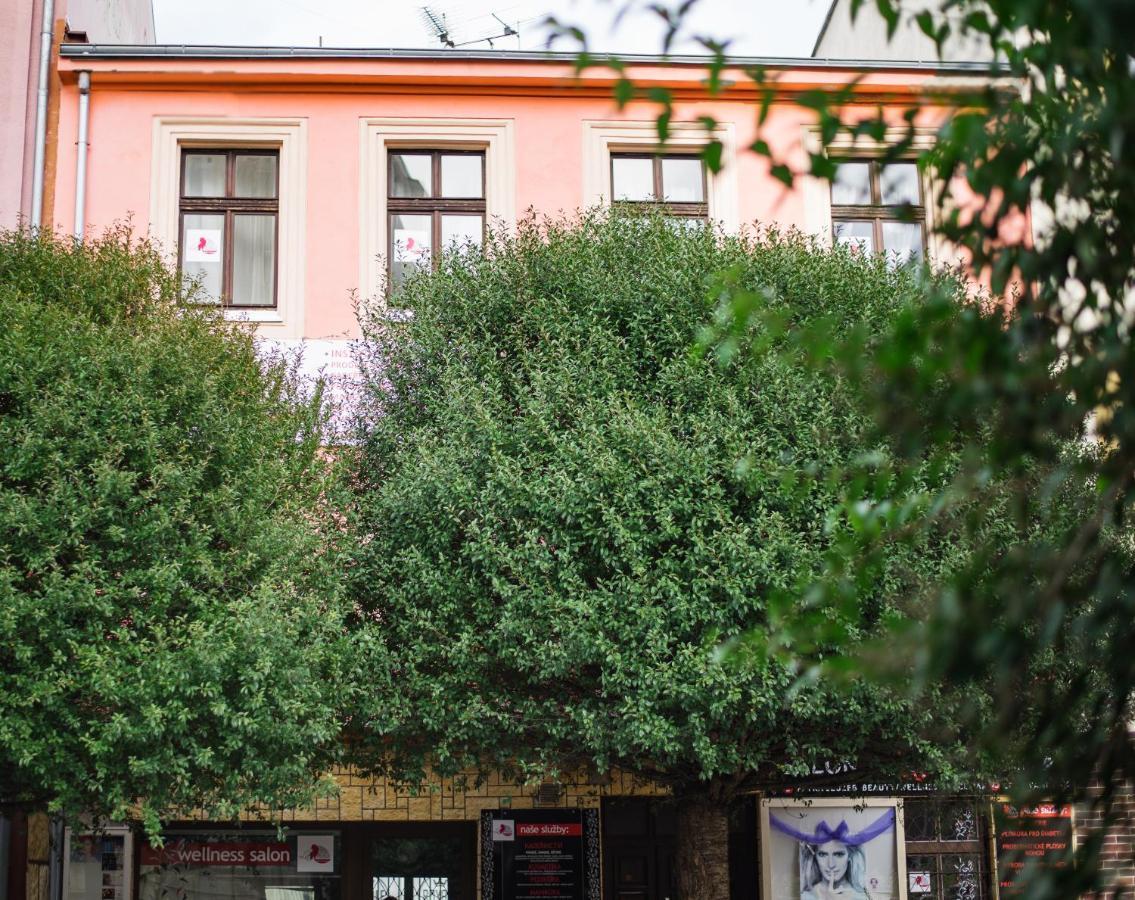 Beauty-Spa Apartment Дечин Екстериор снимка