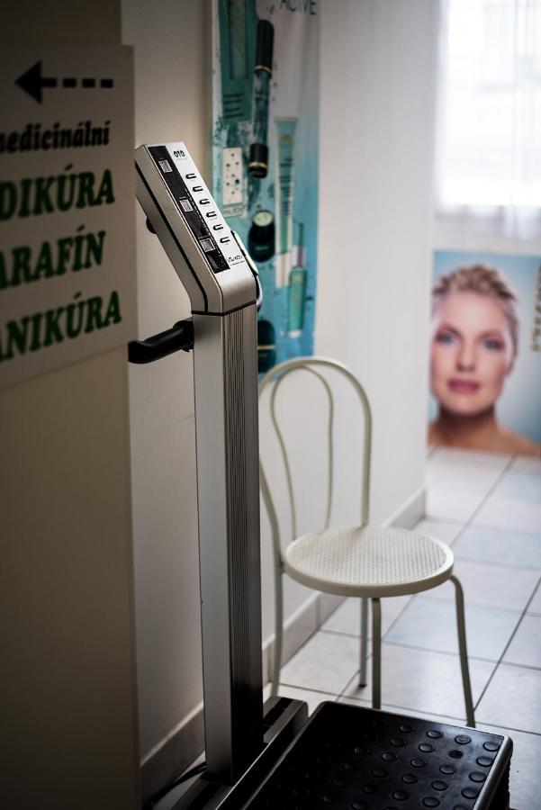 Beauty-Spa Apartment Дечин Екстериор снимка