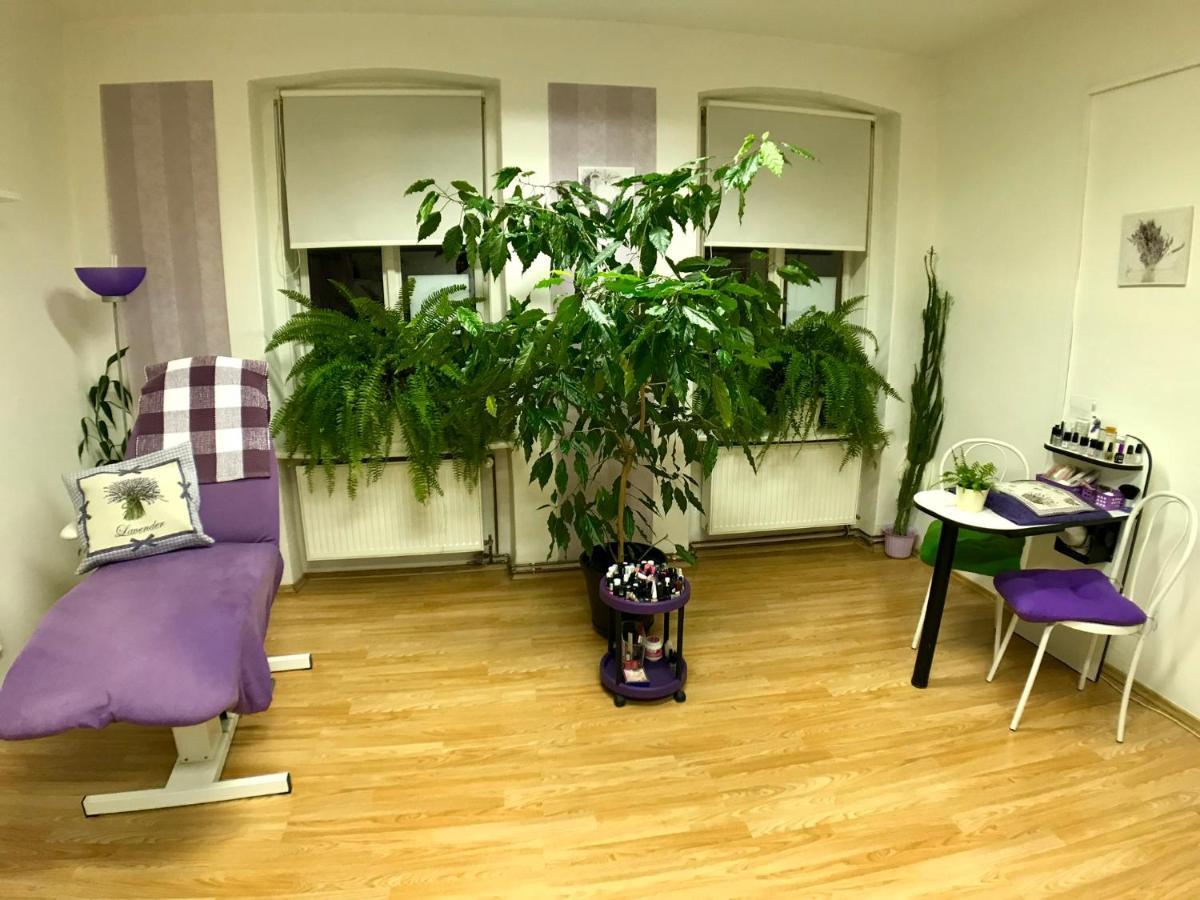 Beauty-Spa Apartment Дечин Екстериор снимка